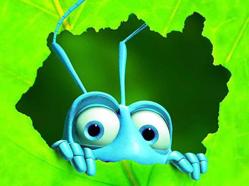 A Bug's Life