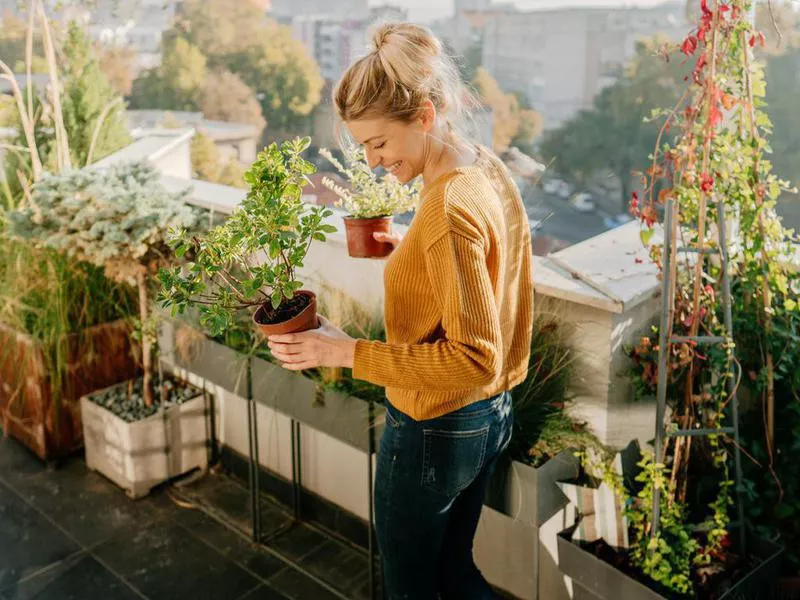 Container gardening on a patio