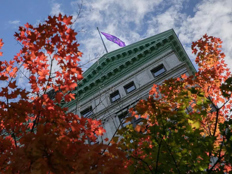 New York University