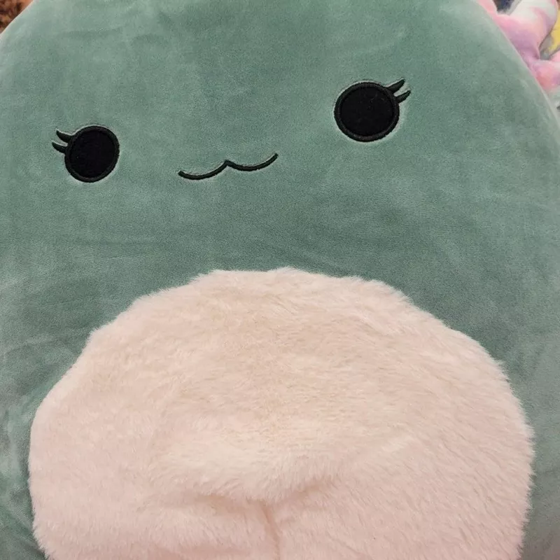 Chasmen Squishmallow