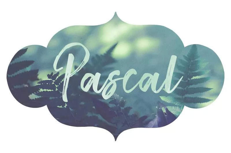 Pascal