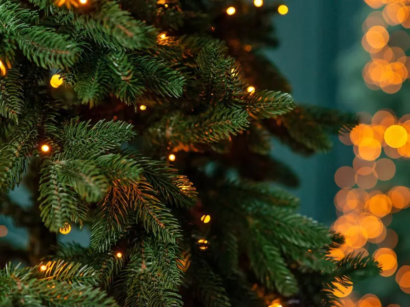 Christmas background, Christmas tree and magical blurred bokeh lights in the background. Soft selective focus.Copy space.