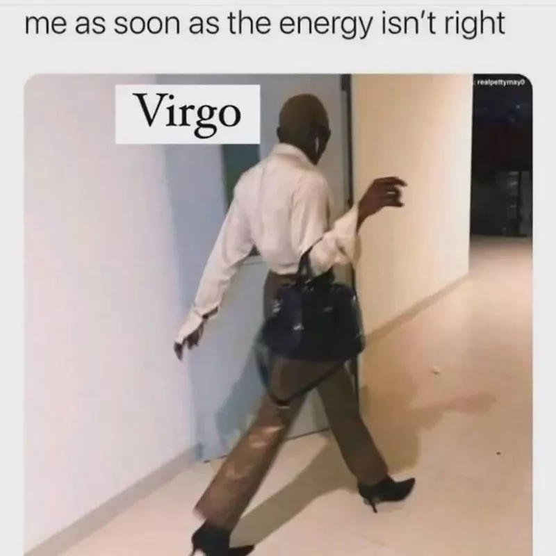 Virgo Meme