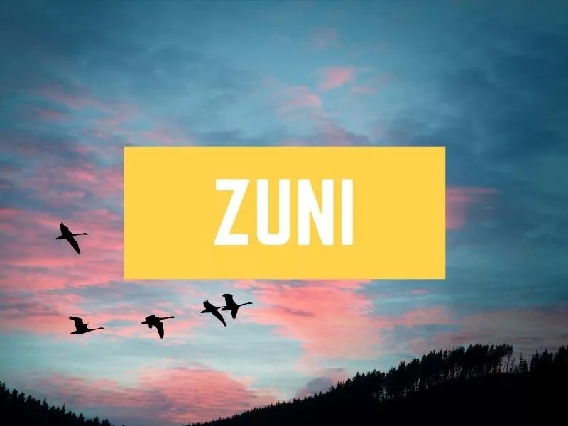 Zuni