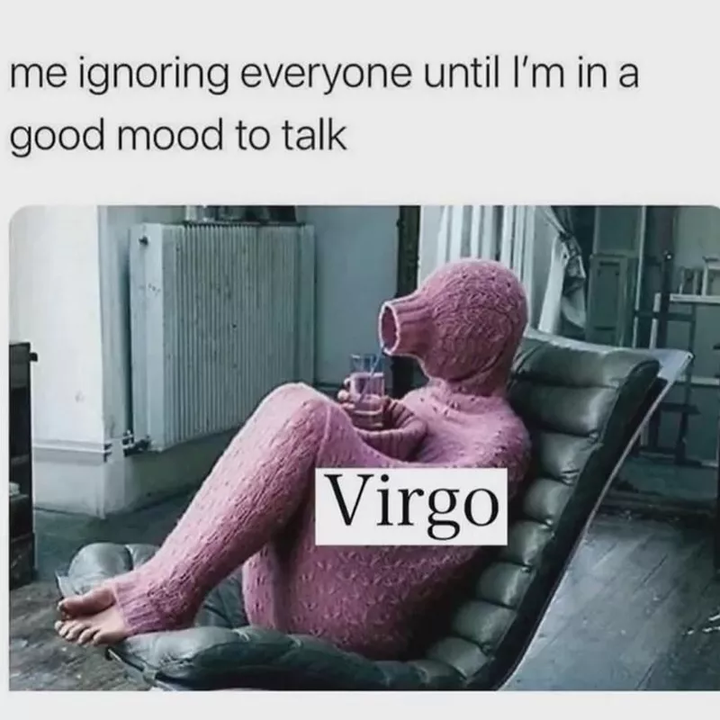 Virgo Meme