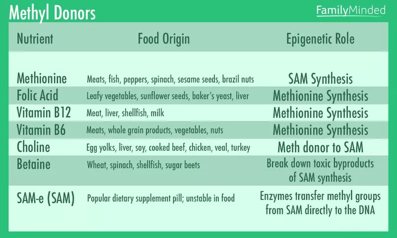 Foods that are good methyl donors