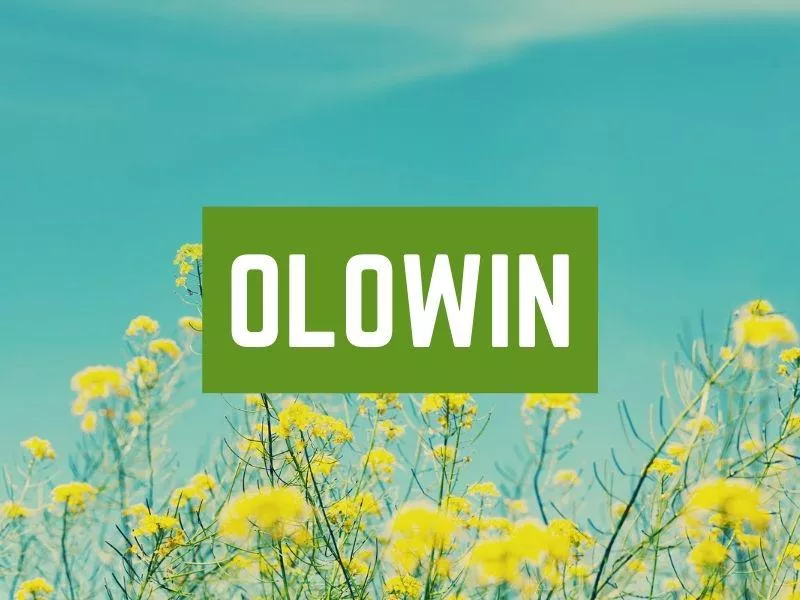 Olowin