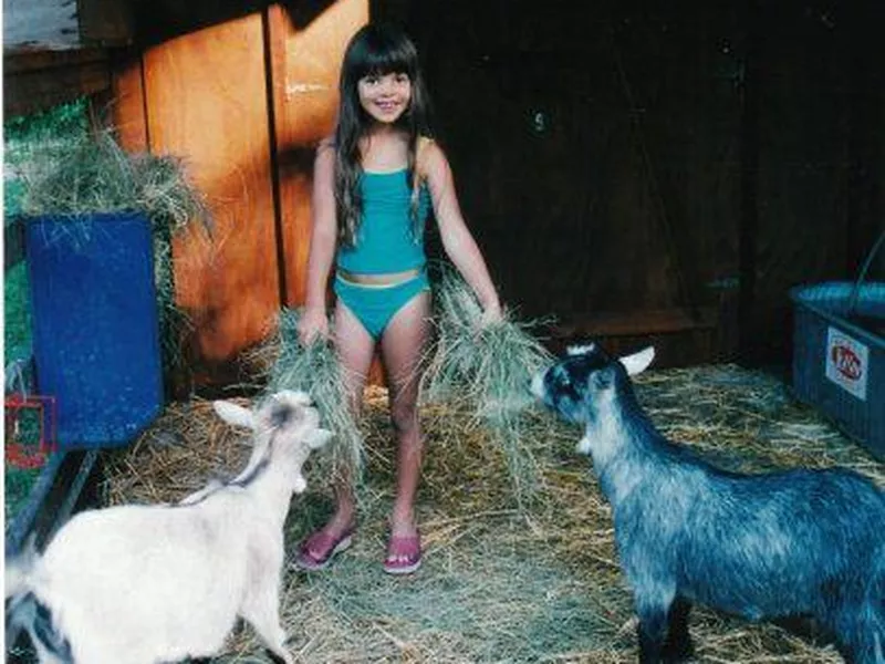 Pygmy goats