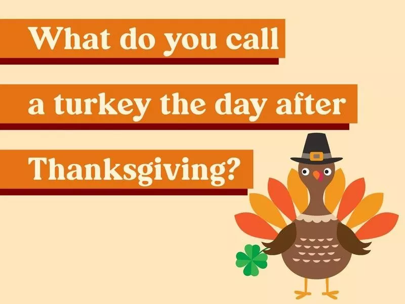 What do you call a turkey the day after Thanksgiving?