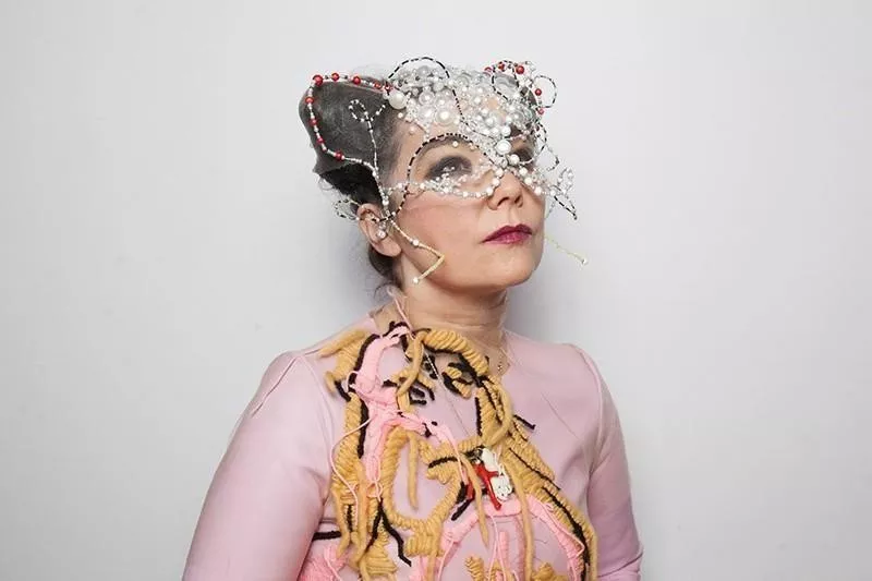 Bjork's style