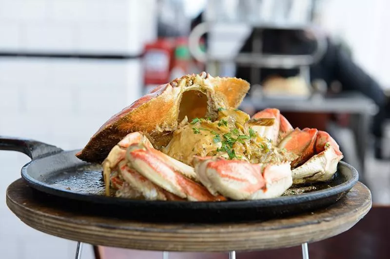 Dungeness Crab