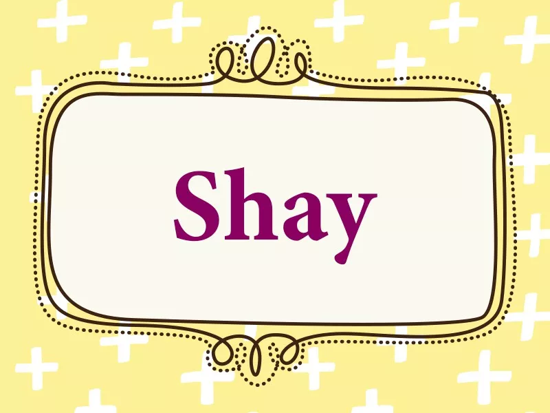 Shay