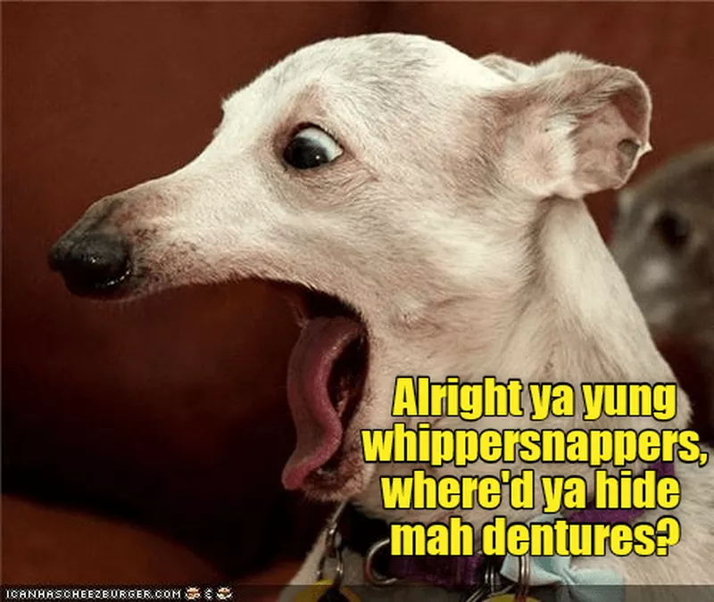 Dog missing dentures meme