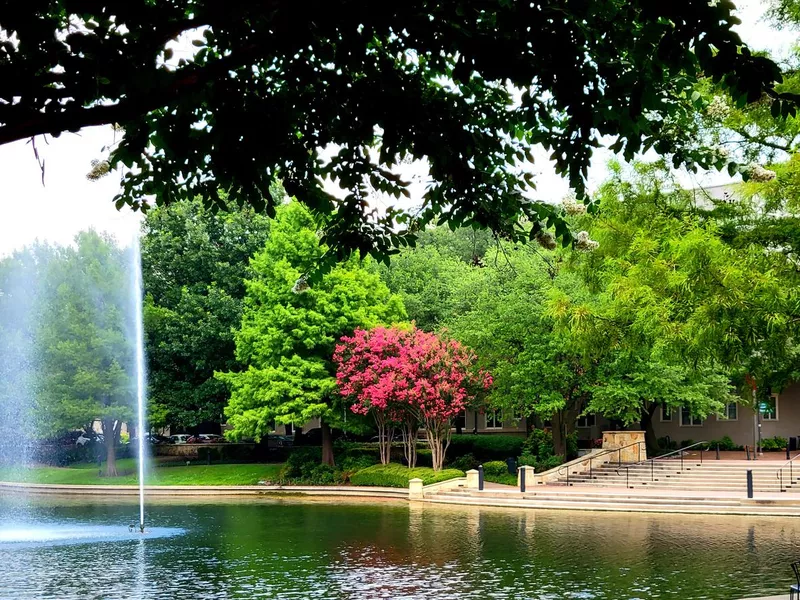 Crepe Myrtles and Landscaping at Shops at Legacy