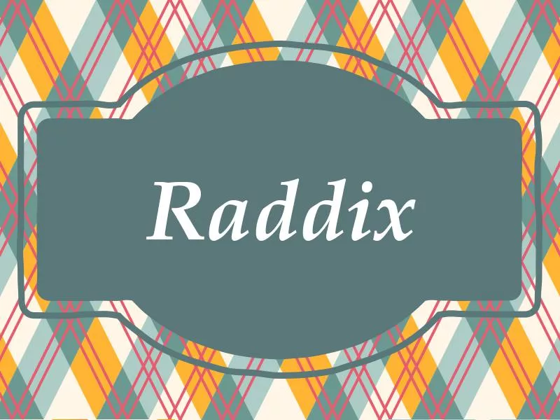 Raddix