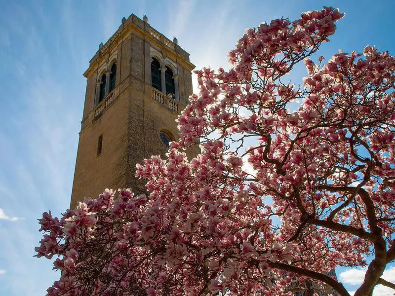 University of Wisconsin – Madison