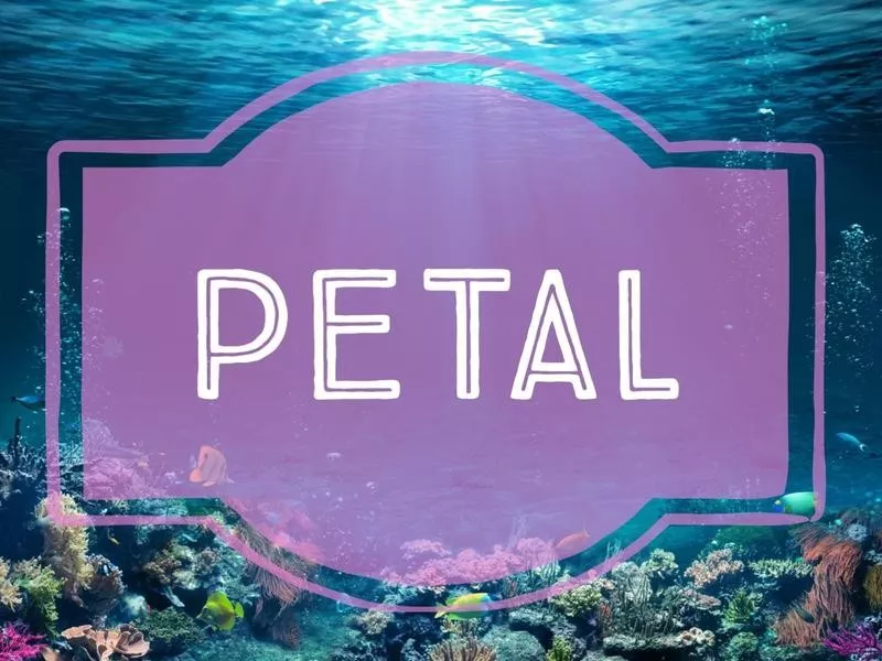 Petal nature-inspired baby name