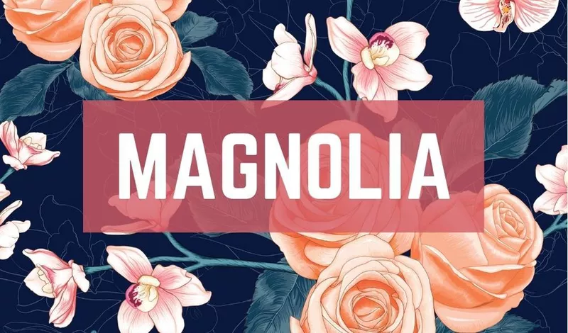 Magnolia