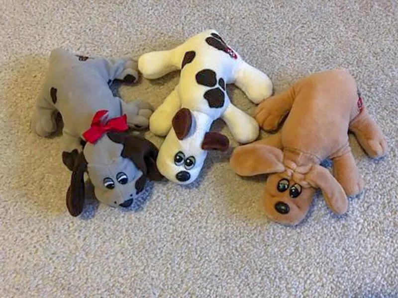 pound puppies