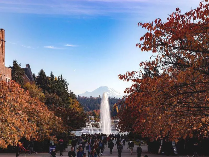 University of Washington