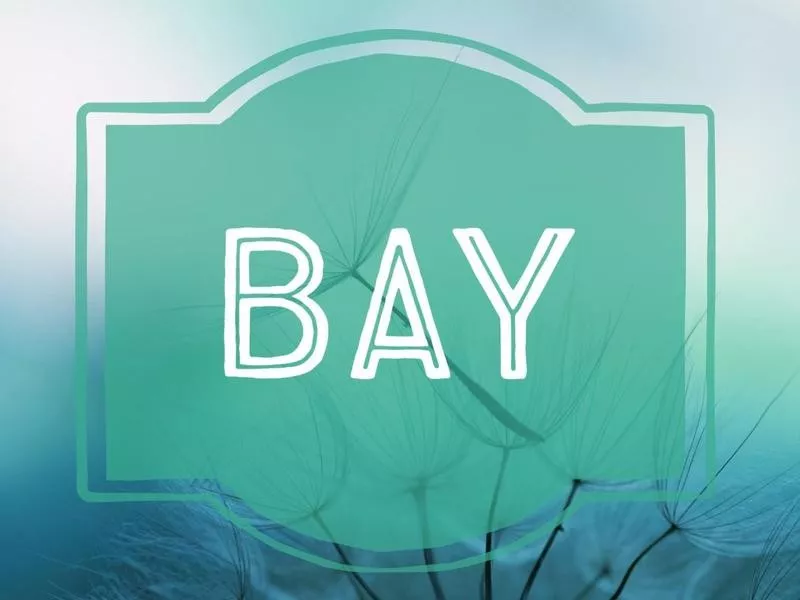 Bay nature-inspired baby name