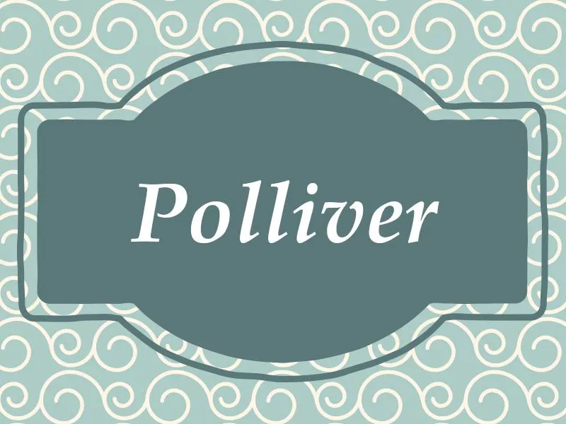 Polliver