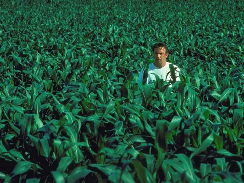 Field of Dreams