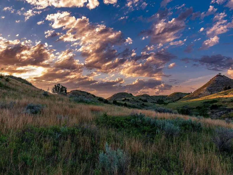 Theodore Roosevelt National Park