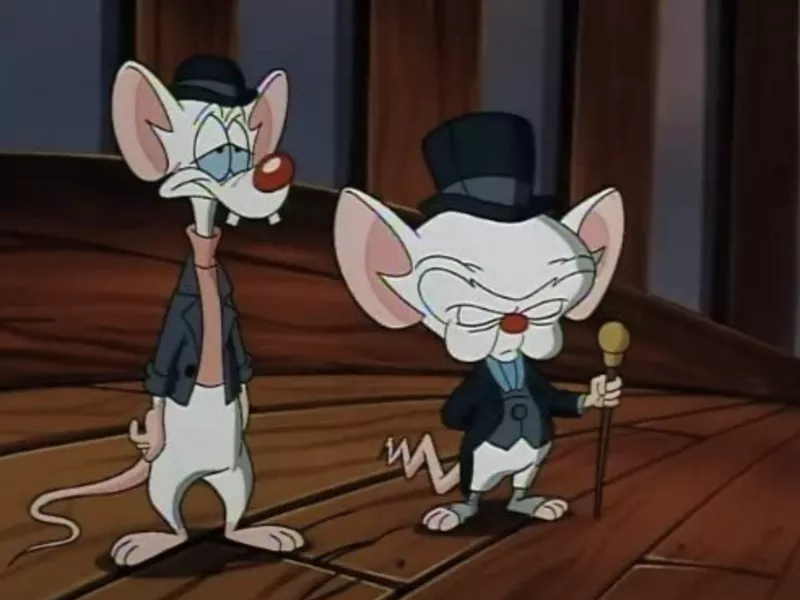 Pinky and the Brain