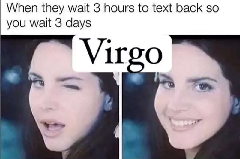 Virgo Memes