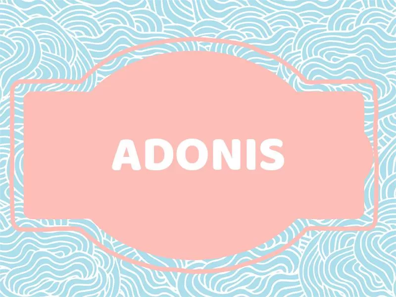 Adonis