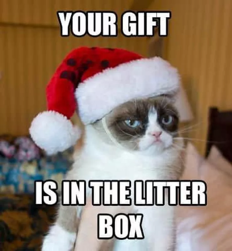 Grumpy cat Christmas meme