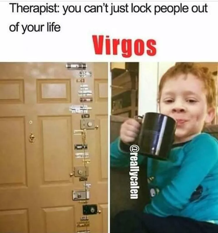 Virgo Memes