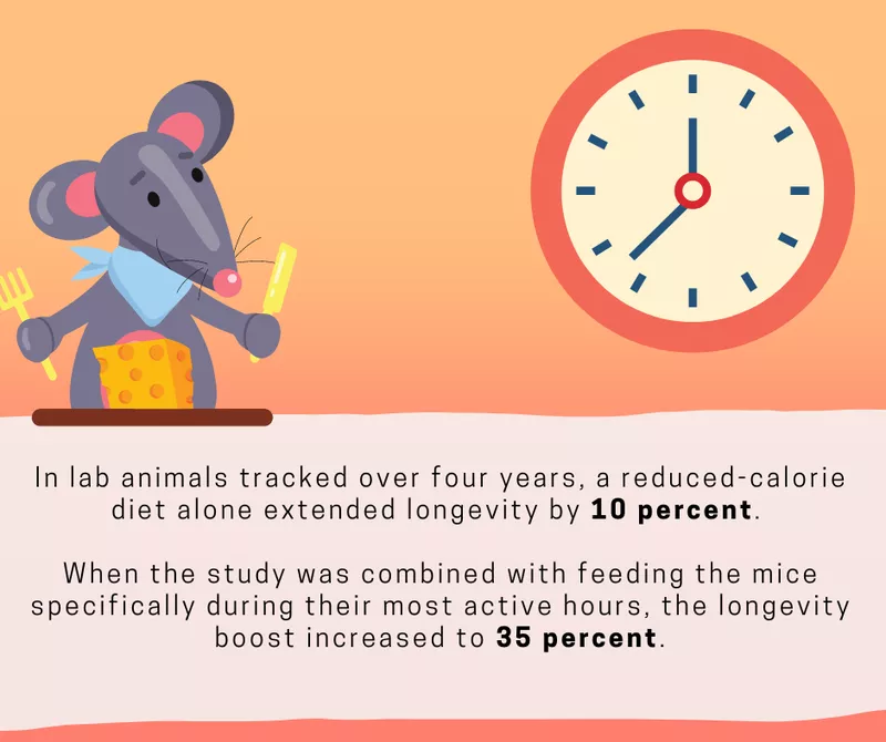 Intermittent fasting stats