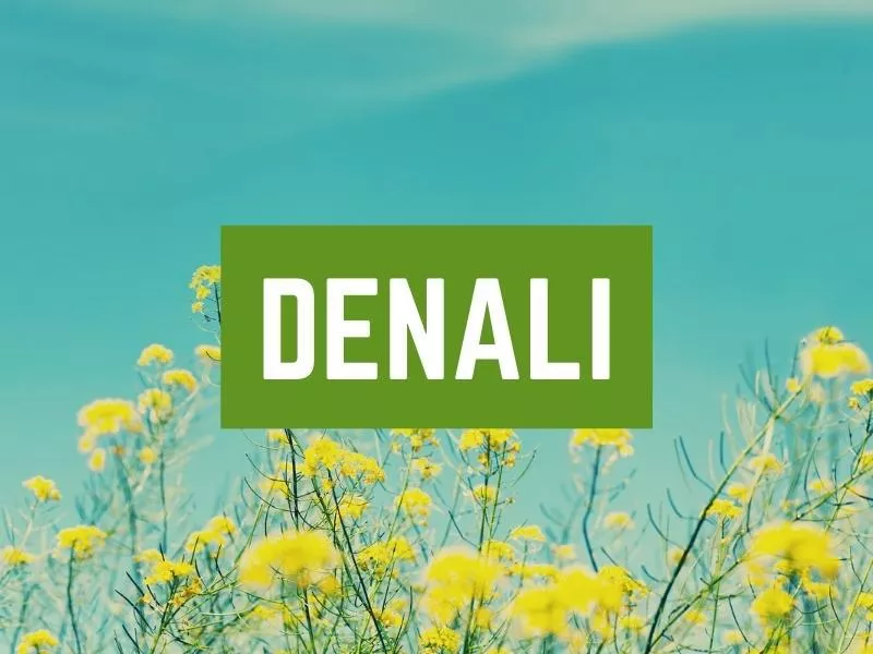 Denali