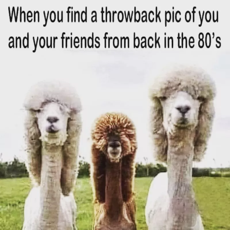 1980s meme