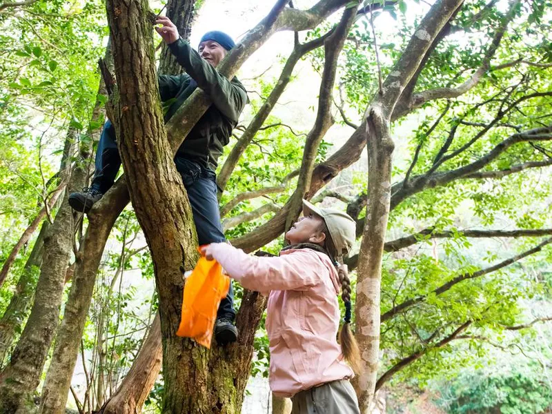 Man climbs a tree ms