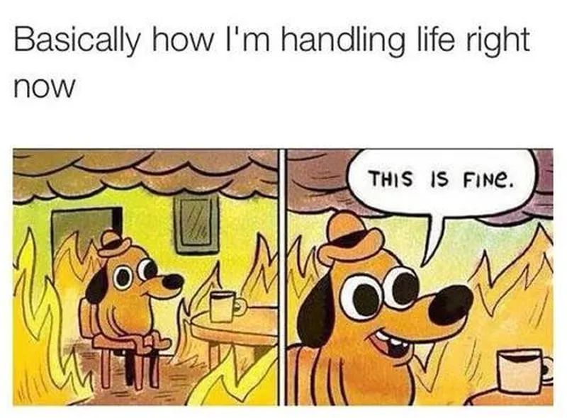 This is fine meme