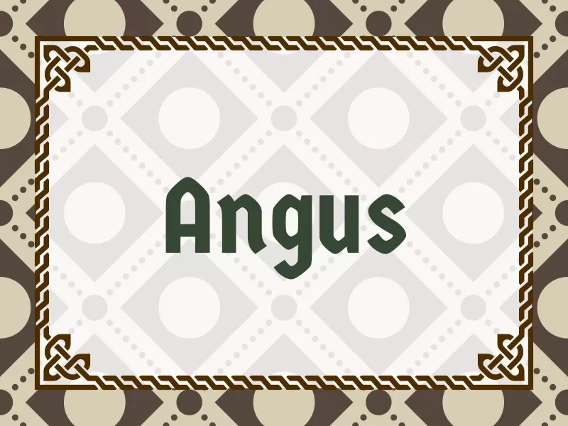 Angus