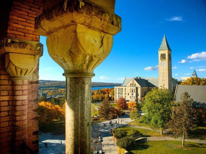 Cornell University