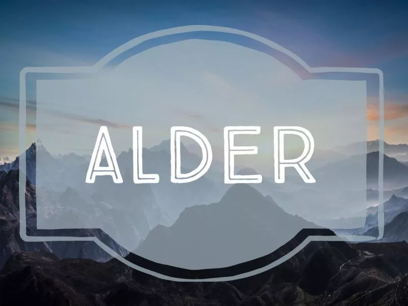 Alder nature-inspired baby name