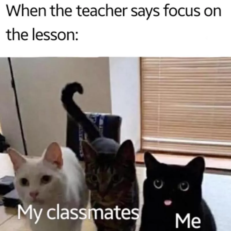 focusing on lesson