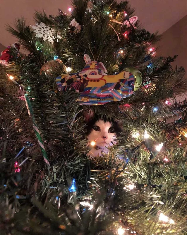 Cat in a Christmas tree