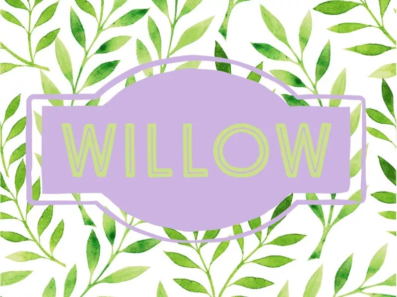 Willow