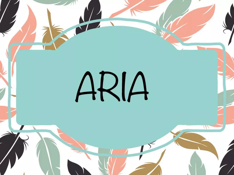 Aria