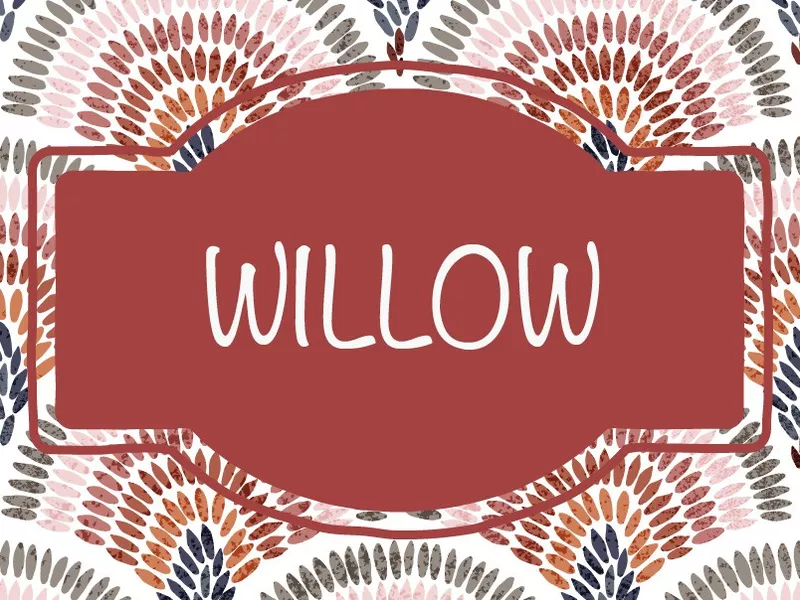 Willow