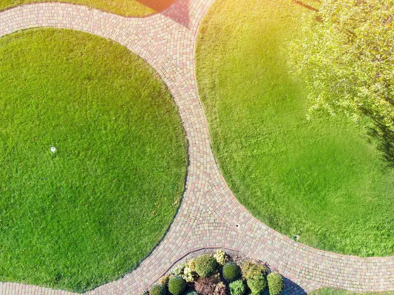 Lawn ideas