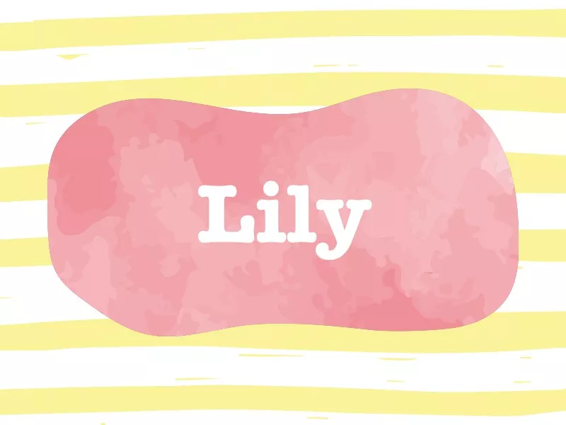 Lily