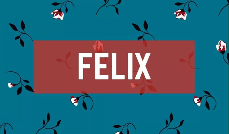 Felix