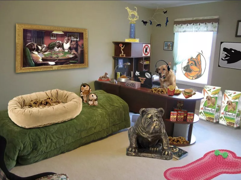 dog room